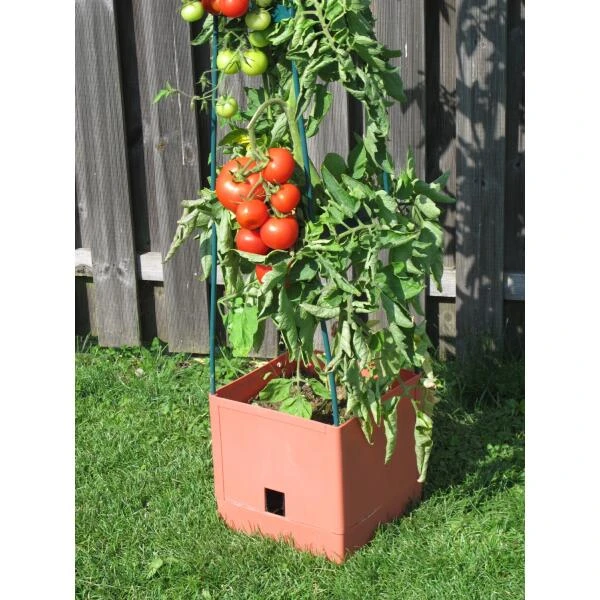 Plantentoren Maxitom Met Waterreservoir - Terracotta - Afbeelding 3