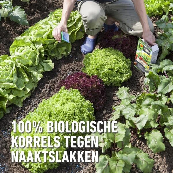 Compo Bio Anti-slakkenkorrels Voor 400 M² - 2 Kg - Afbeelding 2