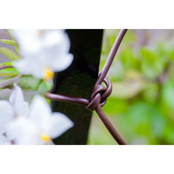 Bindbuis Elastisch Ø 2,5 Mm - Bruin 40 M - Afbeelding 3