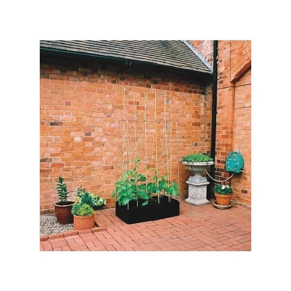 Groeibed 1 × 0,5 M Met Klimframe - Afbeelding 4