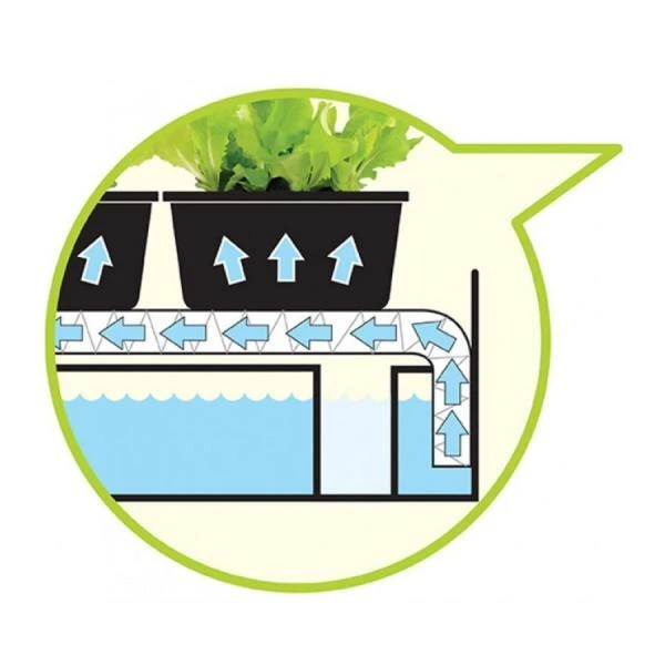 Groeilicht Met Kweekset - Wit - Afbeelding 3