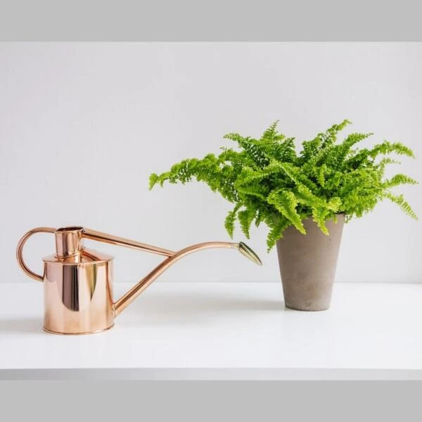 Haws Giftbox Gieter En Vernevelaar - Koper - Afbeelding 3