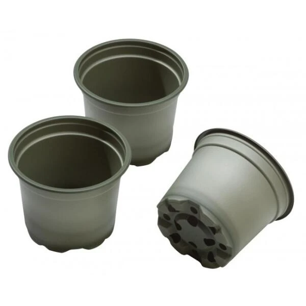 Kweekpot P13 Rond - Biologisch Afbreekbaar - Set Van 5 Stuks - Afbeelding 3