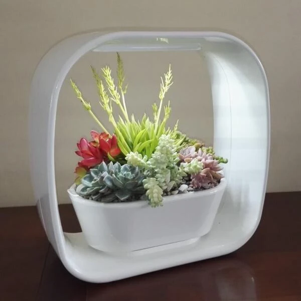 Mini Tuin 'Jardin Secret' - Ledverlichting - Afbeelding 2