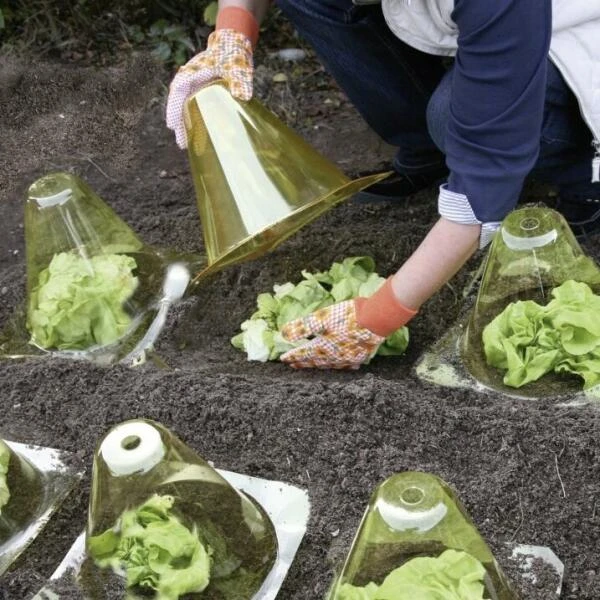 Kunstof PET Plantenhoed - Geel - Set Van 12 Stuks - Afbeelding 2