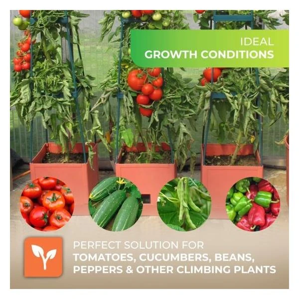 Plantentoren Maxitom Met Waterreservoir - Terracotta - Afbeelding 5