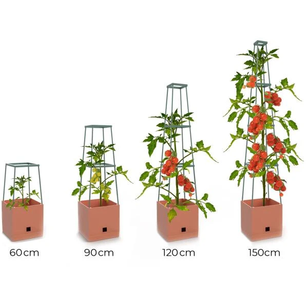 Plantentoren Maxitom Met Waterreservoir - Terracotta - Afbeelding 6